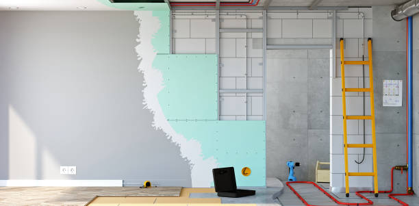 Mold Documentation for Insurance Claims in Oriskany, NY