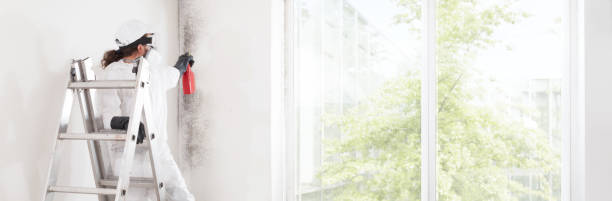 Mold Remediation for Rental Properties in Oriskany, NY